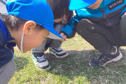 認定こども園苫小牧もも花幼稚園(北海道苫小牧市)