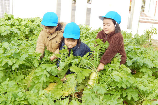 認定こども園白老さくら幼稚園(北海道白老郡白老町)