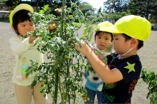 認定こども園白老さくら幼稚園(北海道白老郡白老町)