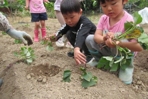 石巻たから保育園(宮城県石巻市)