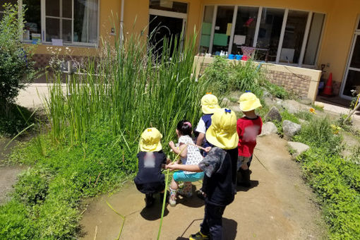 認定こども園登美丘西こども園(大阪府堺市東区)