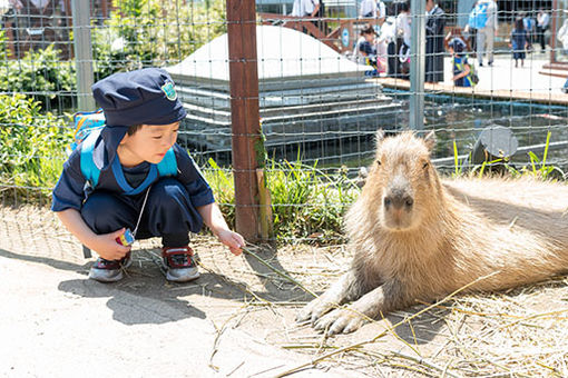 Kids Duo International 青葉台(神奈川県横浜市青葉区)