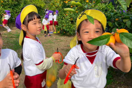 しらぎく幼稚園(福岡県福津市)