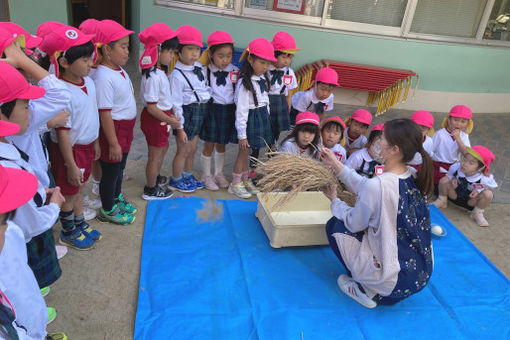 しらぎく幼稚園(福岡県福津市)