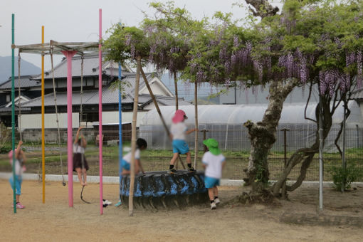 認定こども園 くたに幼稚園(愛媛県松山市)