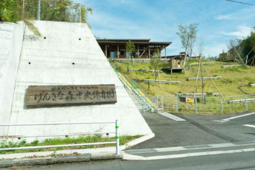 げんきな森中央保育園(大分県大分市)