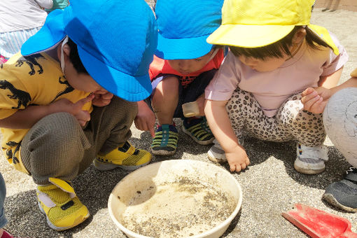 松戸ゆいのひ保育園(千葉県松戸市)