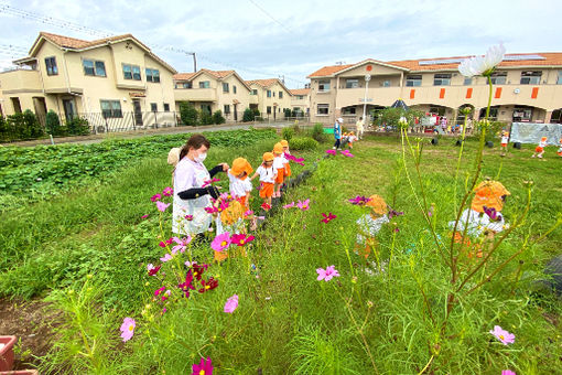 松戸ゆいのひ保育園(千葉県松戸市)