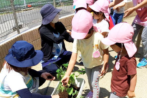 新松戸ゆいのひ保育園(千葉県松戸市)