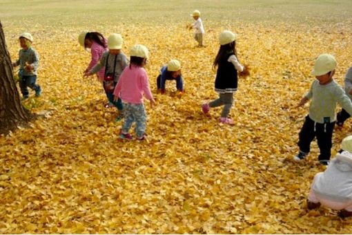 青葉の森保育館(千葉県千葉市中央区)