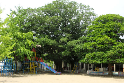 浄福寺幼稚園(京都府京都市上京区)