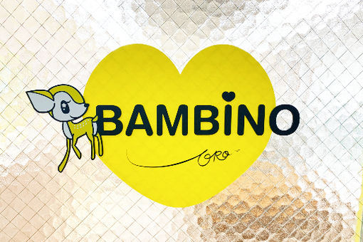 BAMBINO(大阪府豊中市)