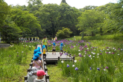 希望幼稚園(富山県滑川市)