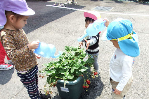 ふれあい大和保育園(神奈川県大和市)