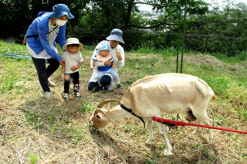 ふれあい町田保育園(東京都町田市)