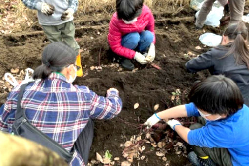 ツリーハウス 新小金(神奈川県横浜市瀬谷区)