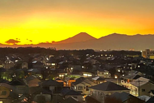 ツリーハウス 新小金(神奈川県横浜市瀬谷区)