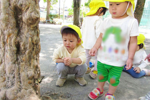 ゆめの樹保育園しんこいわ(東京都葛飾区)