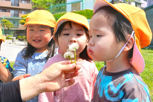 ゆめの樹保育園しんこいわ(東京都葛飾区)