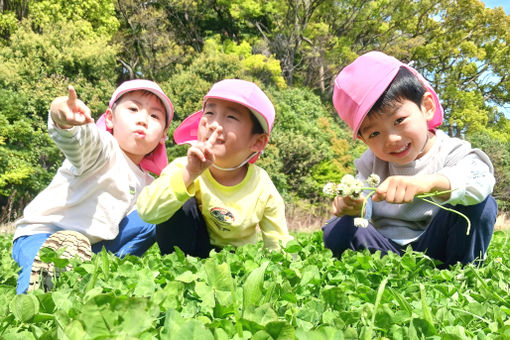 ゆめの樹保育園ほどがや(神奈川県横浜市保土ケ谷区)