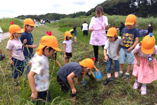 二和ひつじこども園(千葉県船橋市)