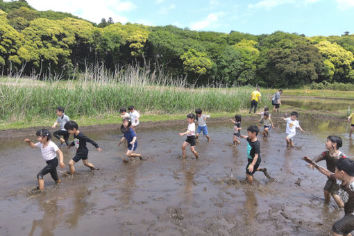 二和ひつじこども園(千葉県船橋市)