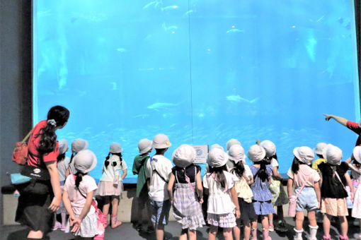 幼稚園型認定こども園第一くるみ幼稚園(千葉県習志野市)