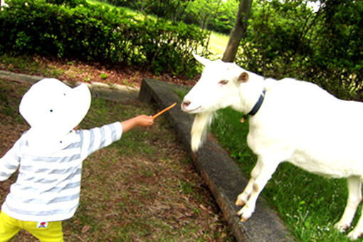 エスチャイルセントレア保育園(愛知県常滑市)