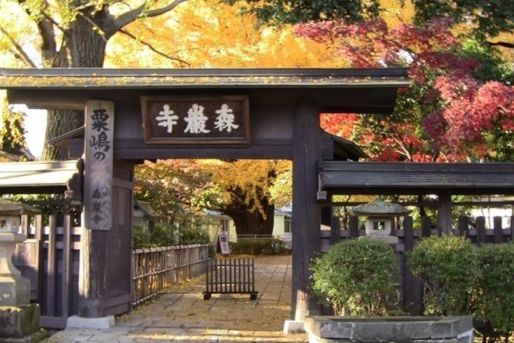オススメのポイント！画像(1)