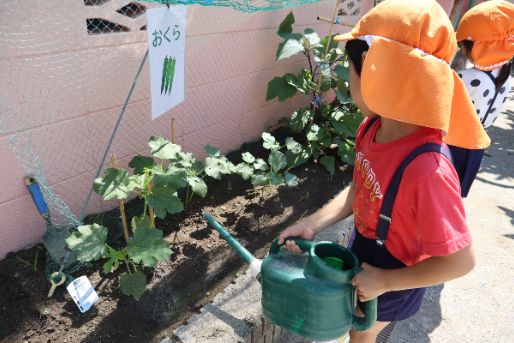 オススメのポイント！画像(1)