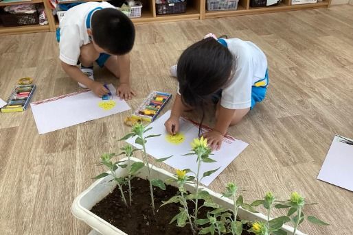 オススメのポイント！画像(2)