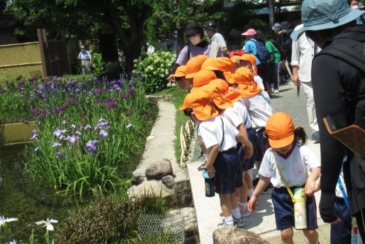 オススメのポイント！画像(2)