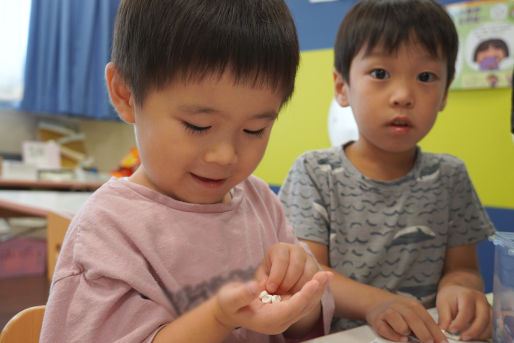 オススメのポイント！画像(1)