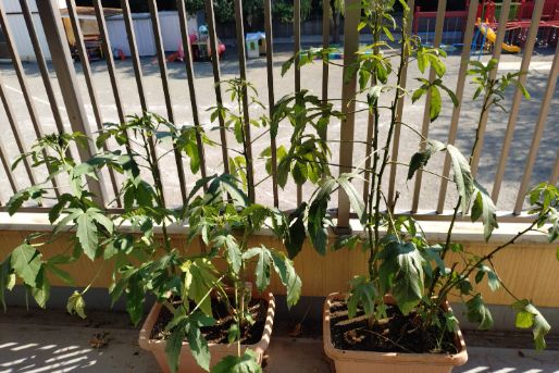 オススメのポイント！画像(1)