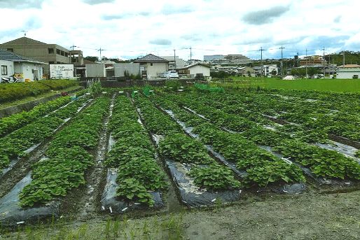施設の紹介画像(3)