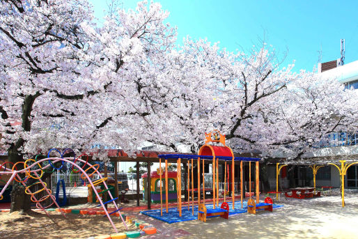 あびこ幼稚園