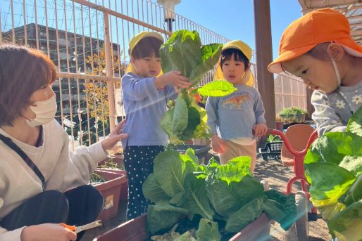墨田区水神保育園
