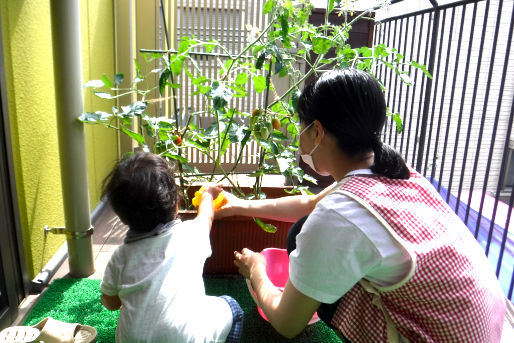 田無ひまわり保育園