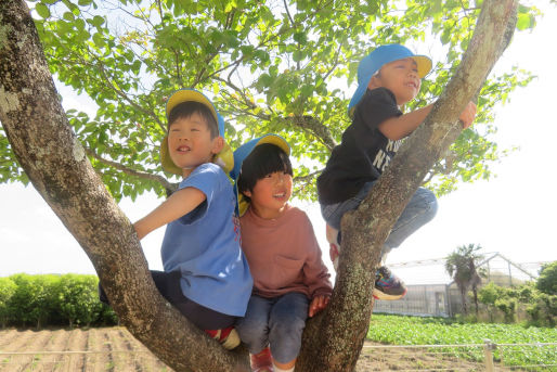 幼保連携型認定こども園丸島保育園