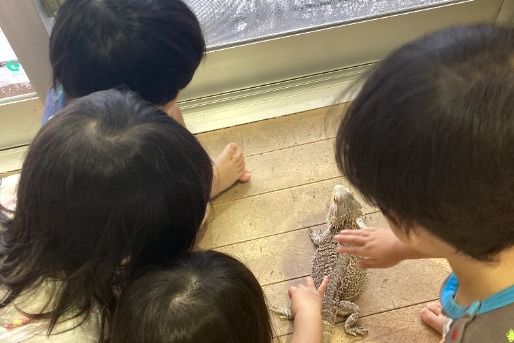 浜川こども園