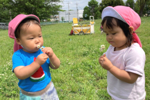 にじのいるか保育園氷川台