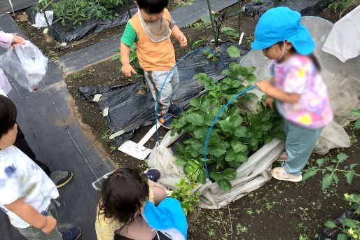 フロンティアキッズ上町