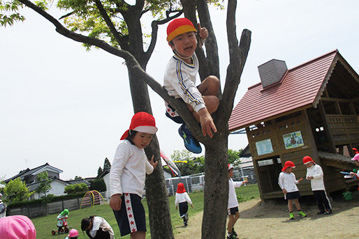 認定こども園晴雲幼稚園