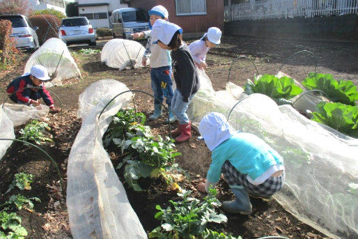 練馬区立貫井第二保育園
