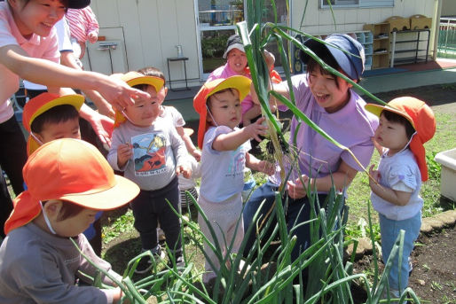 川井宿幼保連携型認定こども園