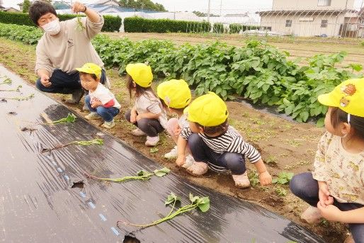認定こども園　くまさんこども園
