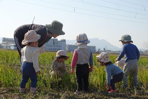 認定こども園 岡保こども園