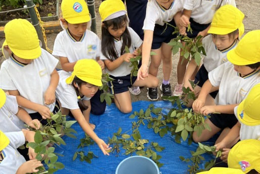 第一新座幼稚園