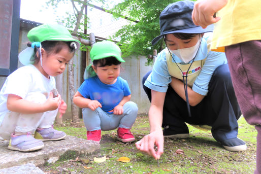 ニチイキッズ本駒込駅前保育園