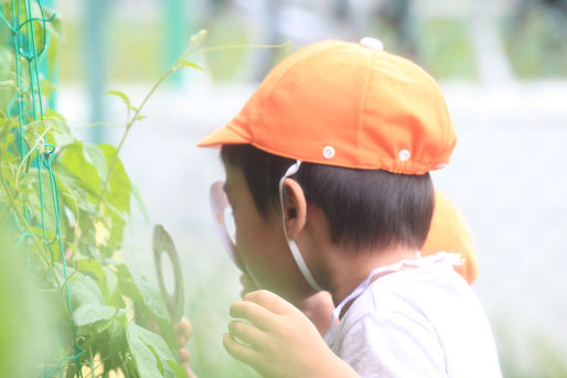 ねむの木保育園